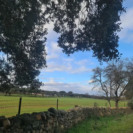 Palacio Conde De Aldana Con Piscina Entre Encinares Y Dehesas * Terradillos