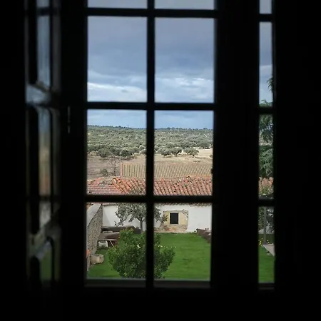 Palacio Conde De Aldana Con Piscina Entre Encinares Y Dehesas *