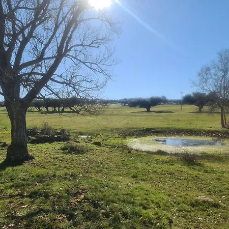 Palacio Conde De Aldana Con Piscina Entre Encinares Y Dehesas * Terradillos