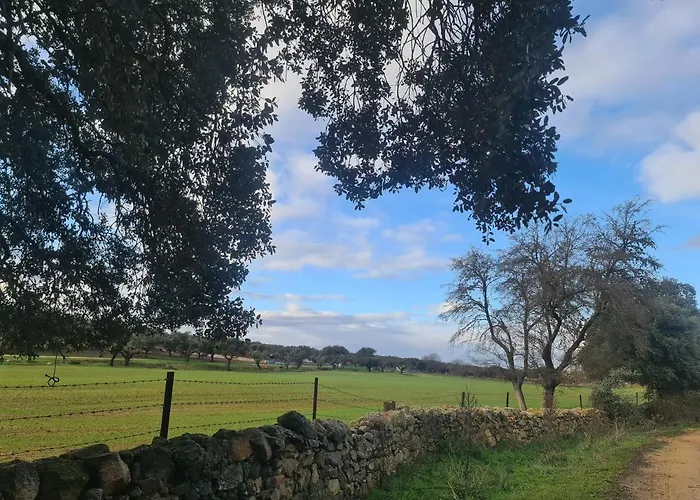Palacio Conde De Aldana Con Piscina Entre Encinares Y Dehesas * Terradillos
