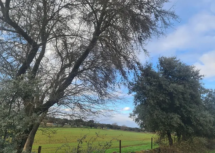 Holiday home Palacio Conde De Aldana Con Piscina Entre Encinares Y Dehesas Terradillos