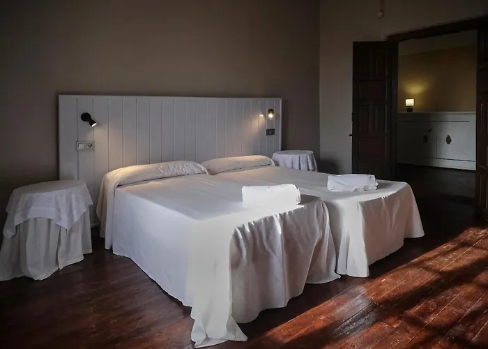 Palacio Conde De Aldana Con Piscina Entre Encinares Y Dehesas